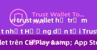 ví trust wallet hỗ trợ mạng nào tốt nhất Hướng dẫn tải Trust Wallet trên CH Play & App Store tại Việt Nam